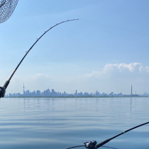 A view of the Toronto skyline as seen from Lake Ontario. The waters look calm and reflect the sky like a mirror. There is fishing gear in the foreground.