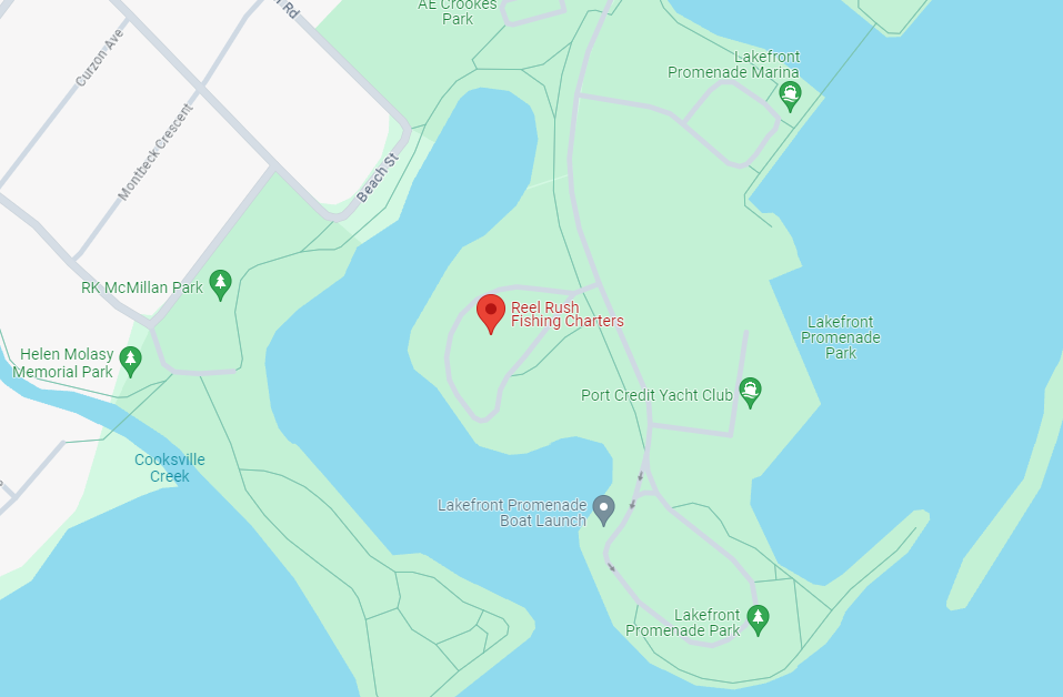A map displaying the location of Reel Rush Fishing Charters. It is surrounded by other venues, such as Lakefront Promenade Marina and Lakefront Promenade Park.